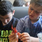 Frisco Mom Blog, Crawfish, Foodie, Shell fish, Rockfish Seafood and Grill, Foodie, Blogger, Frisco 